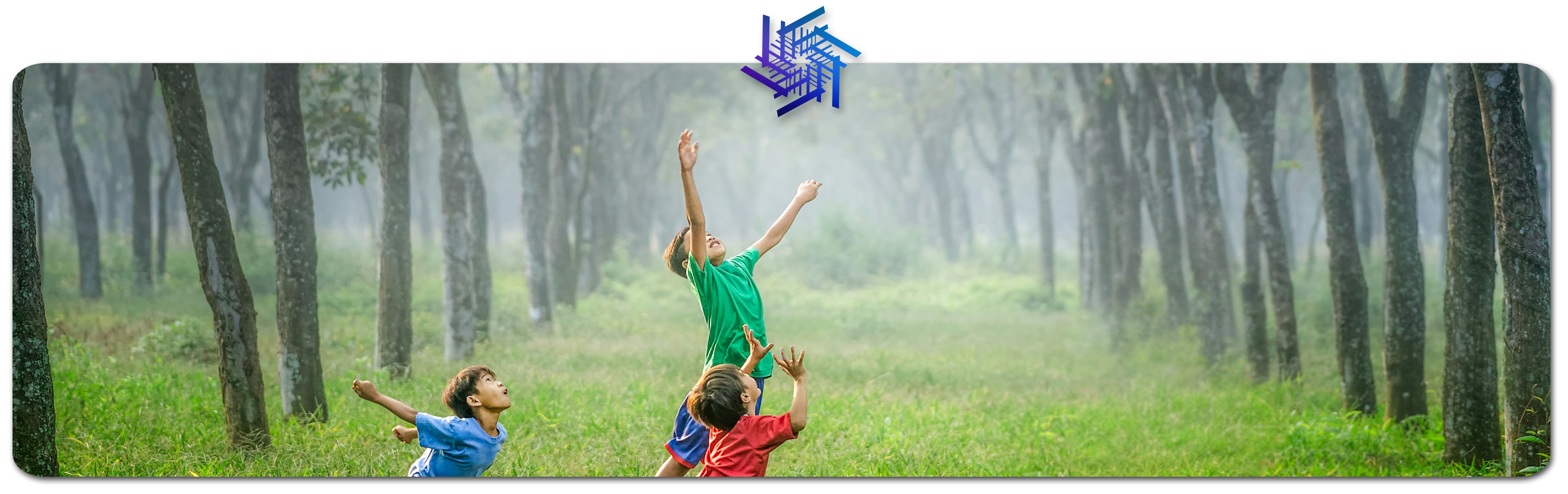 Banner WebfluxPro
